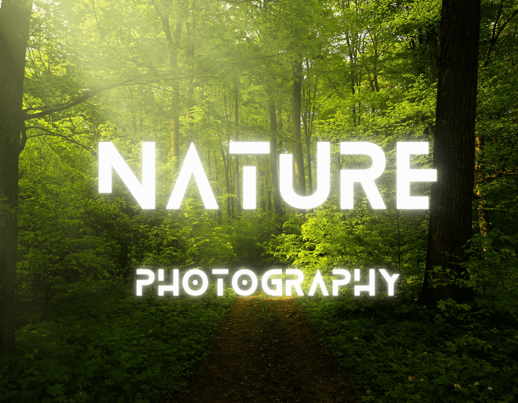 Nature Photography